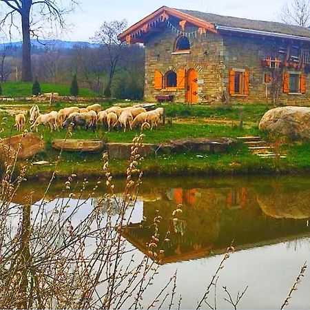 Cabana Casa De Piatra, De La Mara Deseşti Buitenkant foto