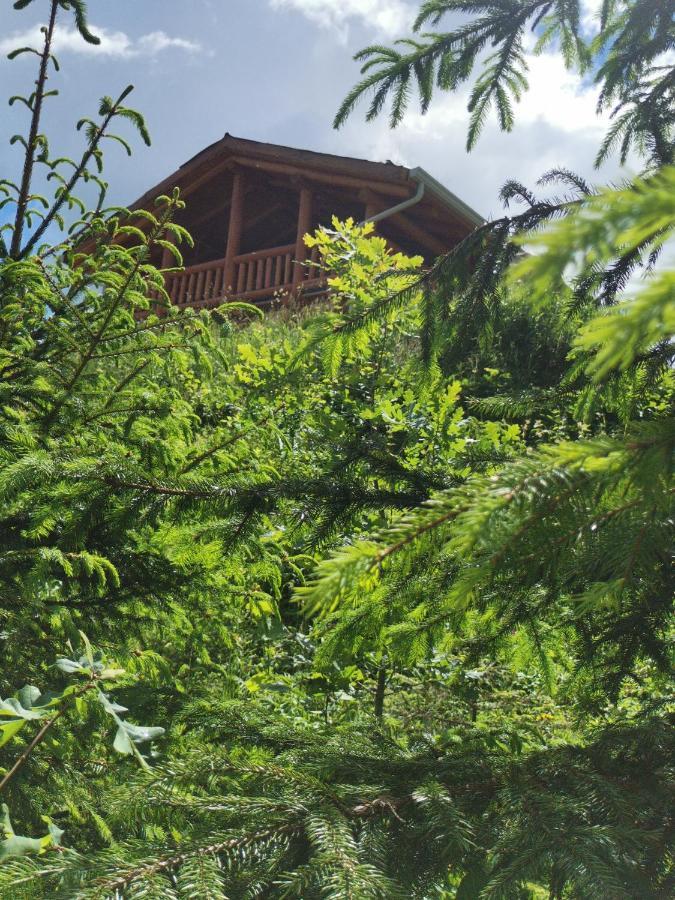 Cabana Casa De Piatra, De La Mara Deseşti Buitenkant foto