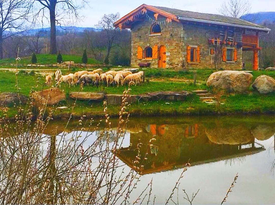 Cabana Casa De Piatra, De La Mara Deseşti Buitenkant foto